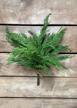 Load image into Gallery viewer, 14" Fresh Touch Whispy Cedar Bundle