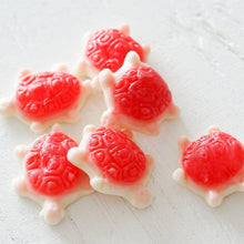 Load image into Gallery viewer, Bon Bon Sea Turtles Mix