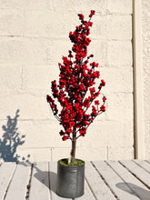 Load image into Gallery viewer, Red Berry Tree in Silver Planter