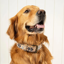 Load image into Gallery viewer, Casper Embroidered Dog Collar