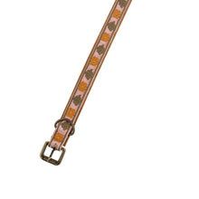 Load image into Gallery viewer, Buddy Embroidered Dog Collar