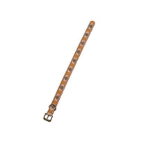 Load image into Gallery viewer, Buddy Embroidered Dog Collar