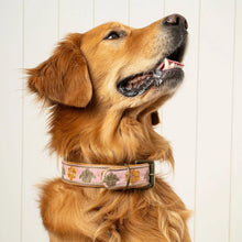 Load image into Gallery viewer, Buddy Embroidered Dog Collar