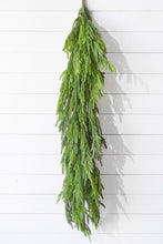 Load image into Gallery viewer, 40" Fresh Touch Dripping Norfolk Pine Garland