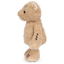 Load image into Gallery viewer, Nobody is Perfect Bear