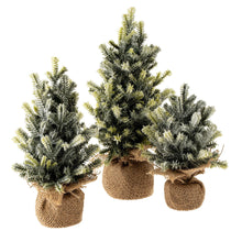 Load image into Gallery viewer, Large Faux Frosted Pine Tabletop Tree