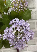 Load image into Gallery viewer, Lavender Snowball Bundle