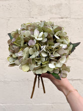 Load image into Gallery viewer, Green Hydrangea Bundle
