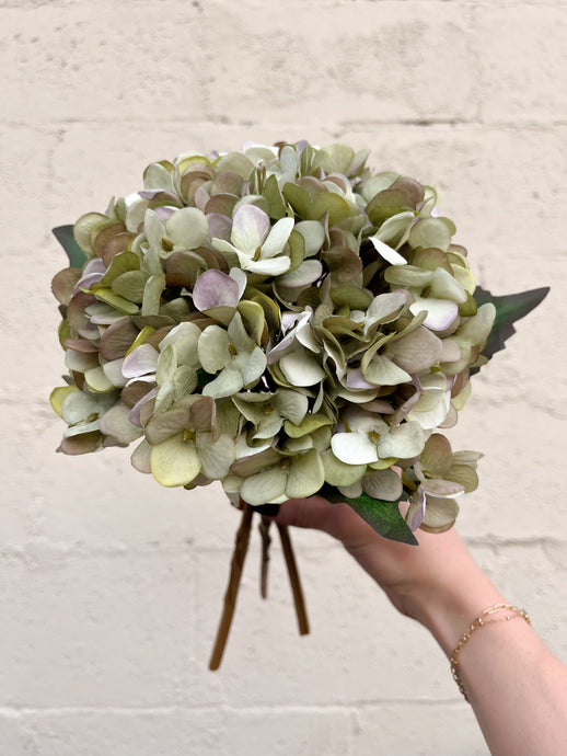 Green Hydrangea Bundle