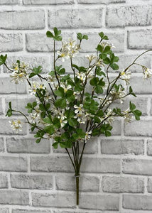 White Olive Blossom Branch