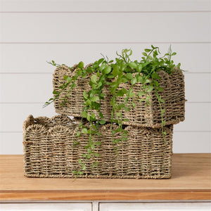 Rectangle Scalloped Edge Baskets