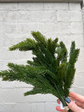 Load image into Gallery viewer, 15&quot; Fresh Touch Spruce &amp; Cedar Bundle