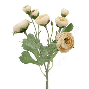 Blush Ranunculus Spray