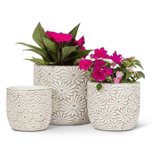 Daisy Round Planters