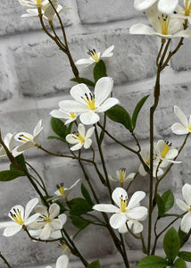 White Plum Flower Stem