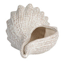 Load image into Gallery viewer, Stoneware Conch Shell
