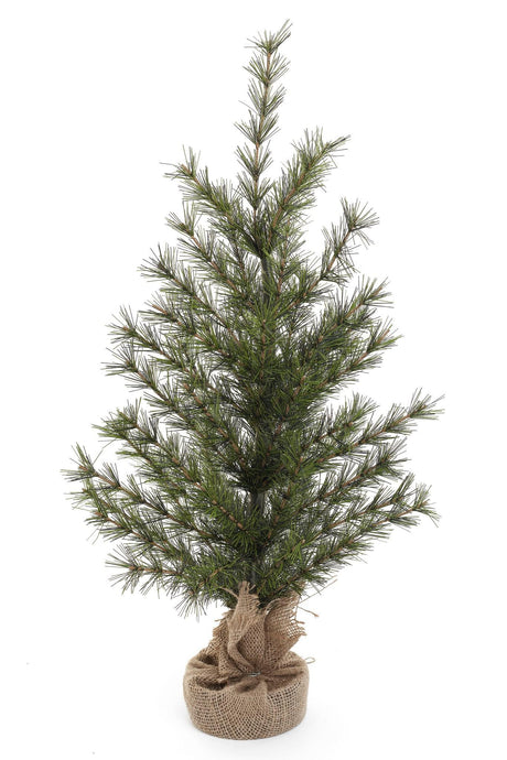 Pine Tree with Burlap Base
