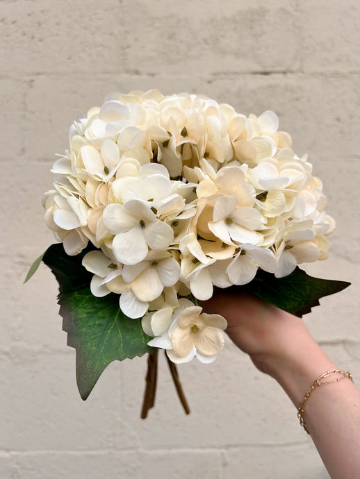 Cream Hydrangea Bundle