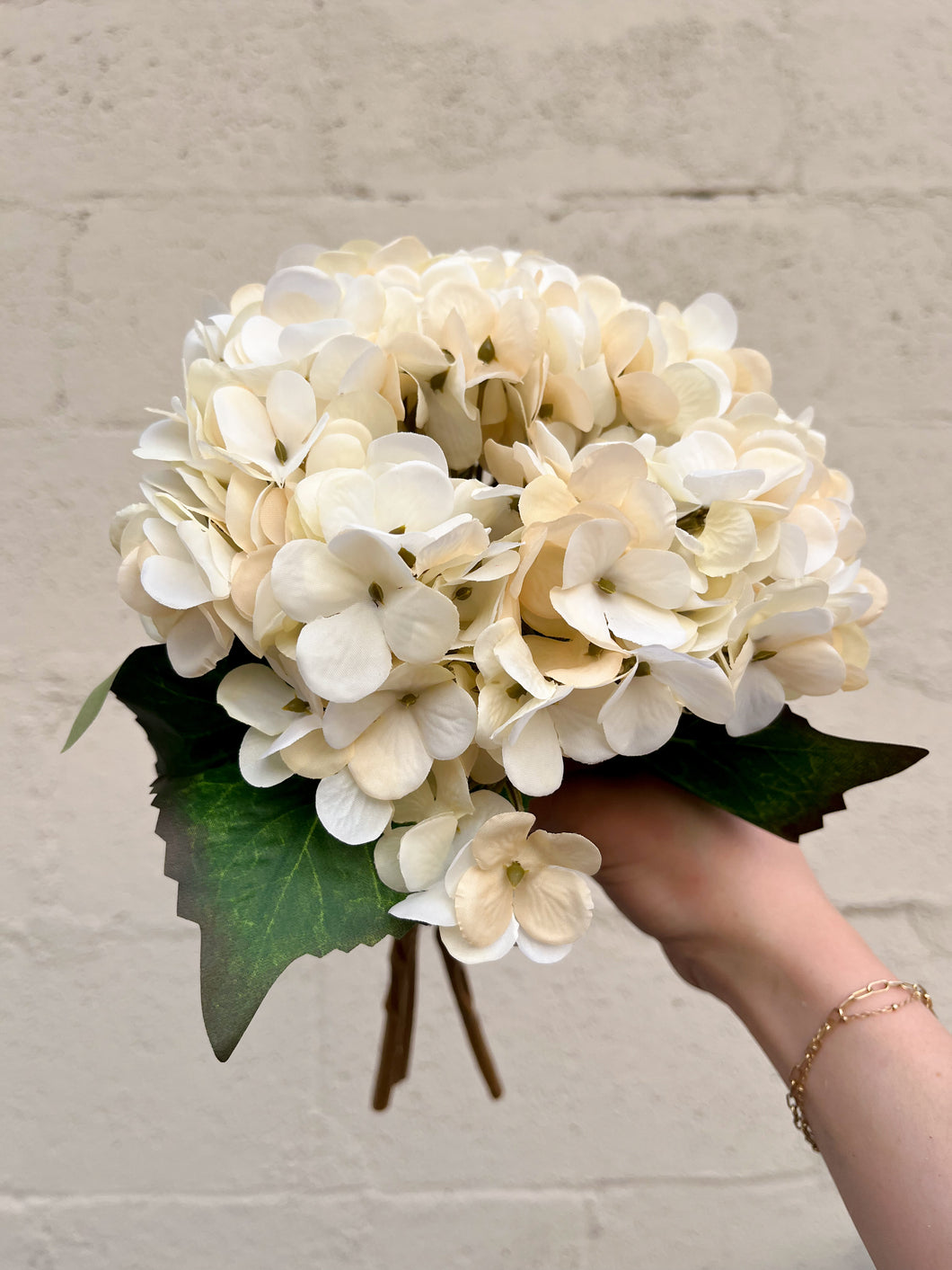 Cream Hydrangea Bundle
