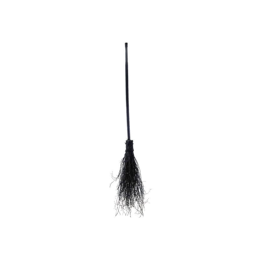 Large Witch's Broom