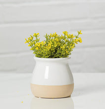 Load image into Gallery viewer, Short Wide Top Shiny &amp; Matte Vase