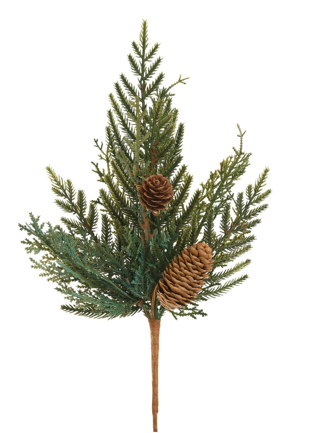 Mixed Cedar Pinecone Stem