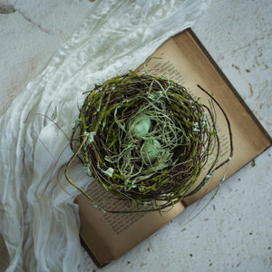 Aqua Twig Birds Nest