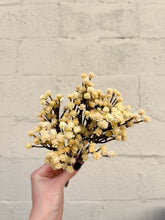 Load image into Gallery viewer, Baby&#39;s Breath Fresh Touch