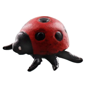 Lady Bug