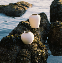 Load image into Gallery viewer, Serres Stoneware Vases