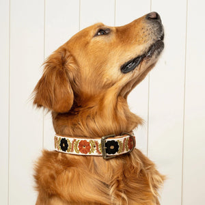 Bruli Embroidered Dog Collar