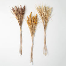 Load image into Gallery viewer, Dried Wheat Bush