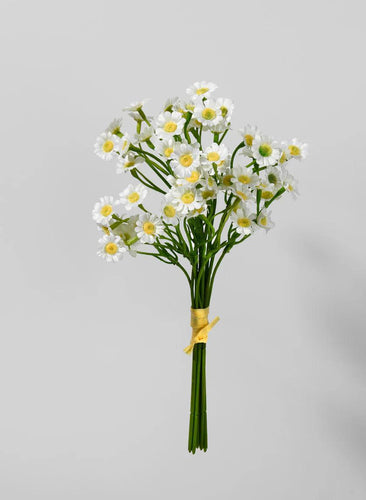Mini Daisy Bundle