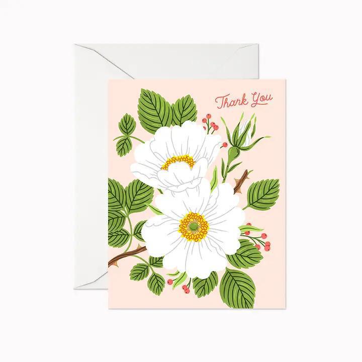 Garden Rose