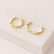 Load image into Gallery viewer, Cleo Hoop Earrings