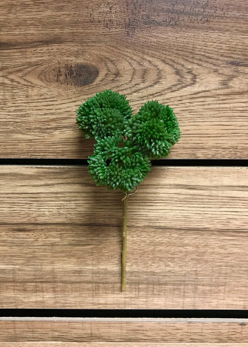 Green Sedum Pick Fresh Touch