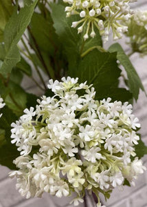 White Snowball Bundle