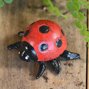 Lady Bug