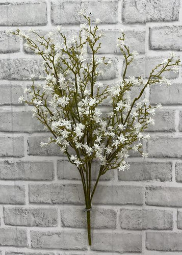 White Seedum Bush