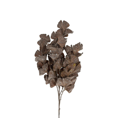 Deep Purple Autumn Leaves Branch