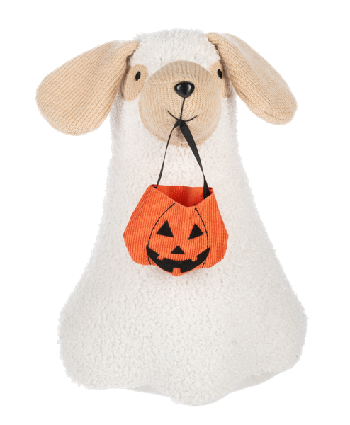 Halloween Dog Trick or Treat