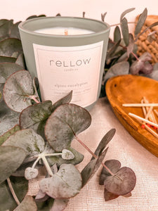 Alpine Eucalyptus Candle