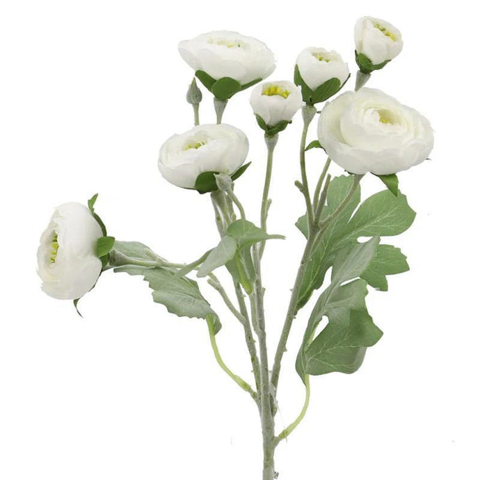 White Ranunculus Spray
