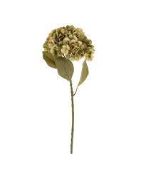 Faded Green Hydrangea Floral Stem