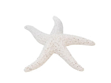 Load image into Gallery viewer, White Deco Starfish