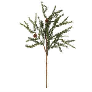 Norway Spruce Pick