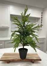 Load image into Gallery viewer, Fresh Touch Norfolk Pine Tree Potted