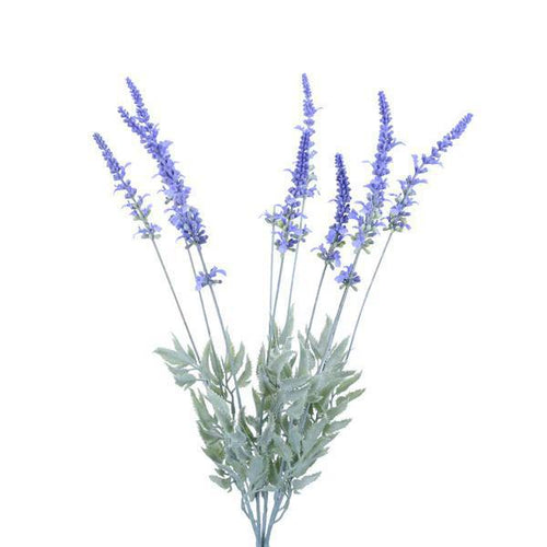 Blue Lavender Bundle