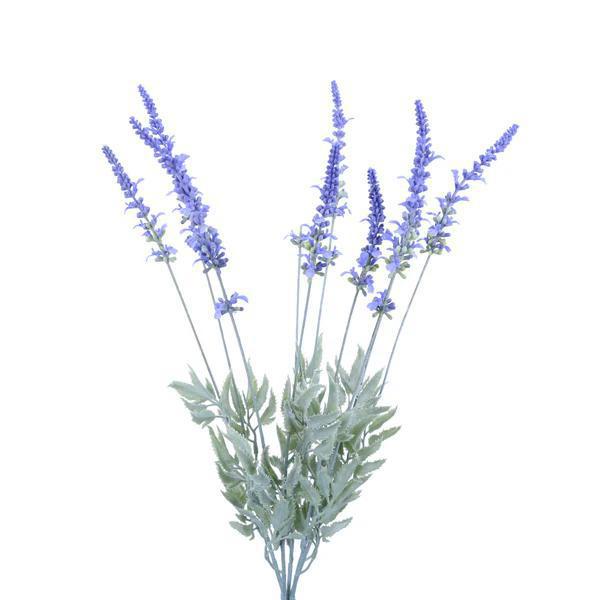 Blue Lavender Bundle