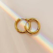 Load image into Gallery viewer, Goldie Earrings